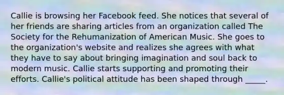 Callie is browsing her Facebook feed. She notices that several of her friends are sharing articles from an organization called The Society for the Rehumanization of American Music. She goes to the organization's website and realizes she agrees with what they have to say about bringing imagination and soul back to modern music. Callie starts supporting and promoting their efforts. Callie's political attitude has been shaped through _____.