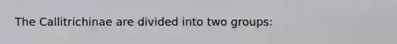 The Callitrichinae are divided into two groups: