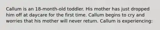 Callum is an 18-month-old toddler. His mother has just dropped him off at daycare for the first time. Callum begins to cry and worries that his mother will never return. Callum is experiencing: