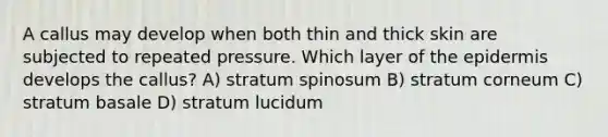 A callus may develop when both thin and thick skin are subjected to repeated pressure. Which layer of the epidermis develops the callus? A) stratum spinosum B) stratum corneum C) stratum basale D) stratum lucidum