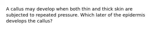 A callus may develop when both thin and thick skin are subjected to repeated pressure. Which later of the epidermis develops the callus?