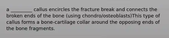 a _________ callus encircles the fracture break and connects the broken ends of the bone (using chondro/osteoblasts)This type of callus forms a bone-cartilage collar around the opposing ends of the bone fragments.