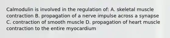 Calmodulin is involved in the regulation of: A. skeletal <a href='https://www.questionai.com/knowledge/k0LBwLeEer-muscle-contraction' class='anchor-knowledge'>muscle contraction</a> B. propagation of a nerve impulse across a synapse C. contraction of smooth muscle D. propagation of heart muscle contraction to the entire myocardium