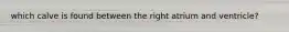 which calve is found between the right atrium and ventricle?