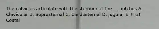 The calvicles articulate with the sternum at the __ notches A. Clavicular B. Suprasternal C. Cleidosternal D. Jugular E. First Costal