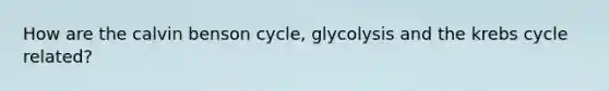 How are the calvin benson cycle, glycolysis and the <a href='https://www.questionai.com/knowledge/kqfW58SNl2-krebs-cycle' class='anchor-knowledge'>krebs cycle</a> related?