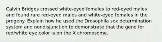 Calvin Bridges crossed white-eyed females to red-eyed males and found rare red-eyed males and white-eyed females in the progeny. Explain how he used the Drosophila sex determination system and nondisjunction to demonstrate that the gene for red/white eye color is on the X chromosome.