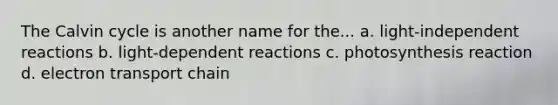 The Calvin cycle is another name for the... a. light-independent reactions b. light-dependent reactions c. photosynthesis reaction d. electron transport chain