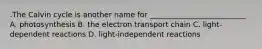 .The Calvin cycle is another name for __________________________ A. photosynthesis B. the electron transport chain C. light-dependent reactions D. light-independent reactions