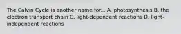 The Calvin Cycle is another name for... A. photosynthesis B. the electron transport chain C. light-dependent reactions D. light-independent reactions