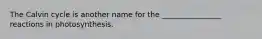 The Calvin cycle is another name for the ________________ reactions in photosynthesis.