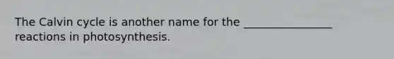The Calvin cycle is another name for the ________________ reactions in photosynthesis.