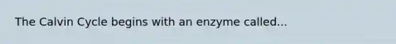 The Calvin Cycle begins with an enzyme called...