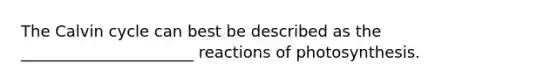 The Calvin cycle can best be described as the ______________________ reactions of photosynthesis.