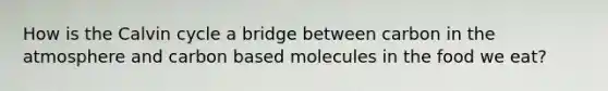 How is the Calvin cycle a bridge between carbon in the atmosphere and carbon based molecules in the food we eat?