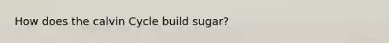 How does the calvin Cycle build sugar?