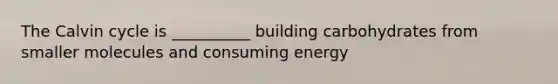 The Calvin cycle is __________ building carbohydrates from smaller molecules and consuming energy