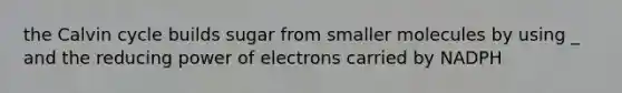 the Calvin cycle builds sugar from smaller molecules by using _ and the reducing power of electrons carried by NADPH