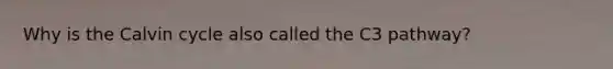 Why is the Calvin cycle also called the C3 pathway?