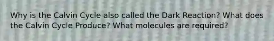 Why is the Calvin Cycle also called the Dark Reaction? What does the Calvin Cycle Produce? What molecules are required?