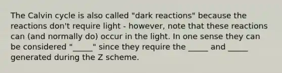 The Calvin cycle is also called "dark reactions" because the reactions don't require light - however, note that these reactions can (and normally do) occur in the light. In one sense they can be considered "_____" since they require the _____ and _____ generated during the Z scheme.