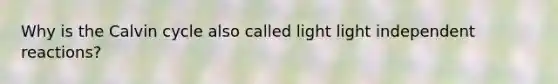 Why is the Calvin cycle also called light light independent reactions?