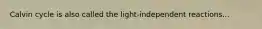 Calvin cycle is also called the light-independent reactions...