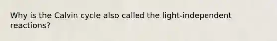 Why is the Calvin cycle also called the light-independent reactions?