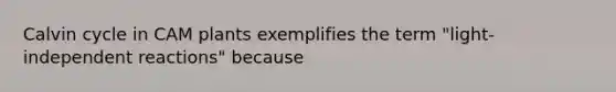 Calvin cycle in CAM plants exemplifies the term "light-independent reactions" because