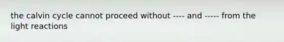 the calvin cycle cannot proceed without ---- and ----- from the light reactions