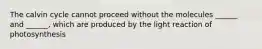 The calvin cycle cannot proceed without the molecules ______ and ______, which are produced by the light reaction of photosynthesis