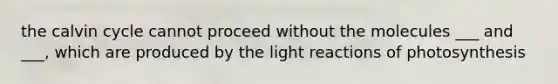 the calvin cycle cannot proceed without the molecules ___ and ___, which are produced by the light reactions of photosynthesis