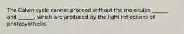 The Calvin cycle cannot proceed without the molecules ______ and ______, which are produced by the light reflections of photosynthesis