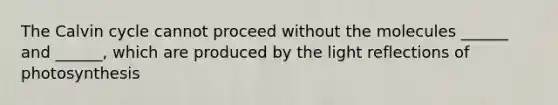 The Calvin cycle cannot proceed without the molecules ______ and ______, which are produced by the light reflections of photosynthesis