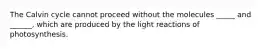 The Calvin cycle cannot proceed without the molecules _____ and ______, which are produced by the light reactions of photosynthesis.