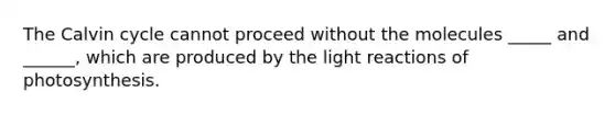 The Calvin cycle cannot proceed without the molecules _____ and ______, which are produced by the light reactions of photosynthesis.