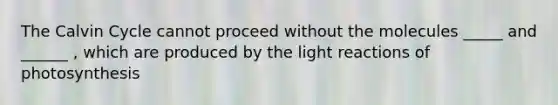 The Calvin Cycle cannot proceed without the molecules _____ and ______ , which are produced by the light reactions of photosynthesis