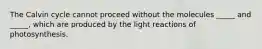 The Calvin cycle cannot proceed without the molecules _____ and _____, which are produced by the light reactions of photosynthesis.