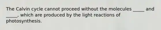 The Calvin cycle cannot proceed without the molecules _____ and _____, which are produced by the light reactions of photosynthesis.