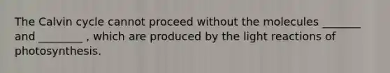 The Calvin cycle cannot proceed without the molecules _______ and ________ , which are produced by the light reactions of photosynthesis.