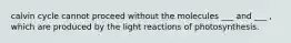 calvin cycle cannot proceed without the molecules ___ and ___ , which are produced by the light reactions of photosynthesis.