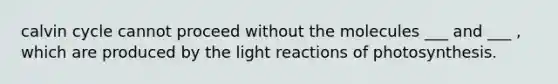 calvin cycle cannot proceed without the molecules ___ and ___ , which are produced by the <a href='https://www.questionai.com/knowledge/kSUoWrrvoC-light-reactions' class='anchor-knowledge'>light reactions</a> of photosynthesis.