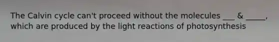 The Calvin cycle can't proceed without the molecules ___ & _____, which are produced by the light reactions of photosynthesis