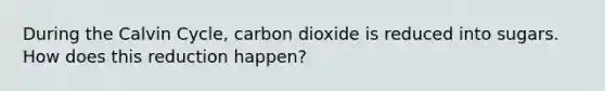 During the Calvin Cycle, carbon dioxide is reduced into sugars. How does this reduction happen?