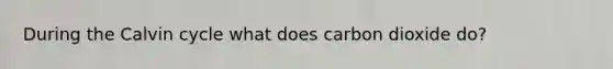 During the Calvin cycle what does carbon dioxide do?