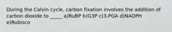 During the Calvin cycle, carbon fixation involves the addition of carbon dioxide to _____ a)RuBP b)G3P c)3-PGA d)NADPH e)Rubisco