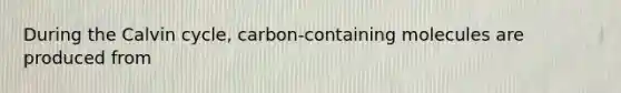 During the Calvin cycle, carbon-containing molecules are produced from