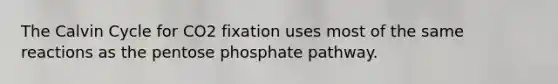 The Calvin Cycle for CO2 fixation uses most of the same reactions as the pentose phosphate pathway.