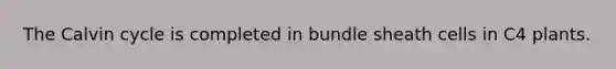 The Calvin cycle is completed in bundle sheath cells in C4 plants.