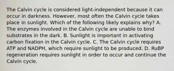 The Calvin cycle is considered light-independent because it can occur in darkness. However, most often the Calvin cycle takes place in sunlight. Which of the following likely explains why? A. The enzymes involved in the Calvin cycle are unable to bind substrates in the dark. B. Sunlight is important in activating carbon fixation in the Calvin cycle. C. The Calvin cycle requires ATP and NADPH, which require sunlight to be produced. D. RuBP regeneration requires sunlight in order to occur and continue the Calvin cycle.